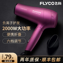 飞科（FLYCO）电吹风家用大功率吹风筒旅行负离子吹风机冷热风理发店发廊可折叠FH6618 FH6618标配
