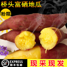 【顺丰】海南桥头富硒地瓜新鲜粗粮特产粉糯板栗红薯番薯地瓜现挖发货送礼佳品礼品礼盒装 5斤精品大果普通包装