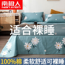 南极人家纺 全棉纯棉床单单件双人高支高密被单加厚单人学生宿舍1.5/1.8米床上用品可配套件 雏菊 200*230cm床单（适用1.5m床）