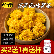 河南黄怀菊花茶特级雁门冰菊怀菊花焦作温县正宗韵菊游念茶露怀青菊灵驰产自怀庆府云台 山脚下  新货 买二送一再送蘑菇杯（ 60克实惠装）