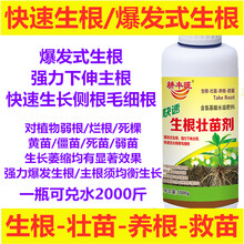 强力生根粉快速生根壮苗剂壮根促生长扦插移栽苗木蔬菜通用生根液 1000克*（快速型）