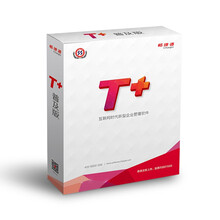 畅捷通 T+标准版13.0 用友财务软件（总账+报表+固定资产）财务办公 1用户 商用