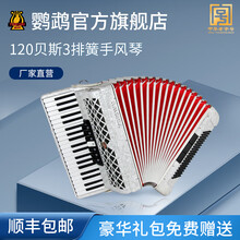 鹦鹉牌手风琴 60/96/120BS 初学者乐器三排簧四排簧成人专业演奏考级厂家直接发货 鹦鹉120贝司三排簧（YW827白色）