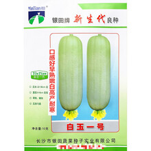 白玉一号丝瓜种子口感好早熟嫩白高产耐寒农家大田大棚春秋播精选 白玉一号原装10克x5袋