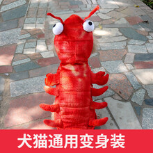 允爱狗狗衣服秋冬装宠物潮牌服饰中小型犬泰迪比熊博美红色龙虾猫狗变身装 12号/M建议6-8斤