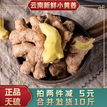 柴门庄园 云南高原种植精选新鲜小黄姜净重5斤 月子姜土姜老姜母姜不熏硫