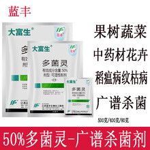 蓝丰 多菌灵多肉花卉药月季兰花盆栽花药叶斑病多菌菌灵通用杀菌剂植物 500克/袋*1袋