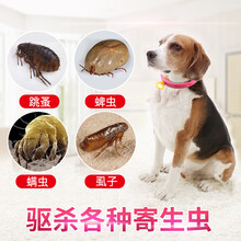 宠物除蚤项圈小狗狗猫咪体外驱虫圈除跳蚤去防虱子狗项圈颈圈猫圈 猫用*2个.
