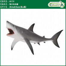 英国CollectA我你他仿真海洋动物模型玩具鲨鱼鲸鱼南北极认知合集 88729张口大白鲨