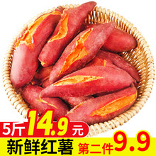 【平价菜场】红薯地瓜糖心番薯蜜薯 新鲜蔬菜番薯 2斤大果