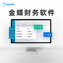 金蝶软件云财务软件会计记账做账代账软件金蝶kis标准版迷你版小企业财务系统管理erp软件 20账套 8用户1年