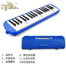 天鹅口风琴37键学生成人儿童课堂教学专业演奏键盘口吹琴乐器 37键口风琴蓝色（塑盒）+全套赠品