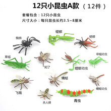 2021新款儿童昆虫玩具塑胶仿真动物模型蜘蛛蝴蝶蜜蜂蜈蚣蚂蚁大小摆件套装 小昆虫12只A款