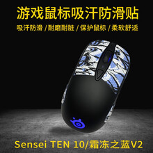 鼠标贴 用于赛睿SenseiTen10/霜冻之蓝V2通用 游戏鼠标吸汗防滑贴 玛雅图腾系列 保护鼠标 图腾炫彩10