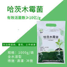 农药绿陇生根壮苗微生物菌剂防死棵烂根腐土传真菌病害 哈茨木霉菌1kg 哈茨1kg/袋