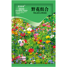 花诗诗 野花组合花种子四季种易活花卉种子花卉组合室外速生易种多种混合花籽庭院阳台盆栽公园绿化花草种子 野花组合种子 混品种混色型 10克 约500粒 厂商封装