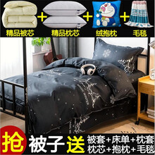 世韬国际 被褥套装学生宿舍被芯单双人寝室被子枕芯被套床单毛毯全套可拆洗四季通用 魔幻冬天 被芯180*220cm/4斤【九件套】