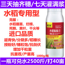 水稻叶面肥增产硅肥返青肥增产剂育苗灌浆肥水稻粒粒丰膨大籽粒 水稻粒粒丰1000ml（送量杯1套）