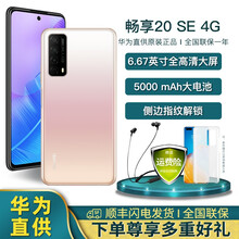 华为 HUAWEI 畅享20 SE 6.67英寸全高清大屏5000mAh全网通手机安卓 晨曦金 全网通8GB+128GB
