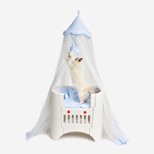 捣蛋鬼 宠物床四季通用可拆卸清洗猫咪狗狗宠物床小型中型犬猫咪高颜值网红窝+四件套