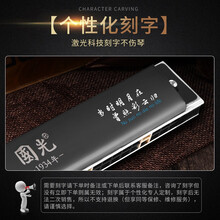 上海牌国光口琴24复音c调28重音口琴德国进口音簧高级成人初学者单音男女儿童入门专业演奏级 赠品：视频教学+消毒棉