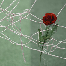 仿真玫瑰花单只 复古ins风装饰摆件摆设绢花 礼品拍照道具 红色