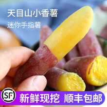【顺丰发货】临安天目山小香薯新鲜红薯板栗小番薯地瓜蜜山芋蕃薯 中果 5斤