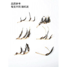 碗莲藕根茎水培植物迷你藕根茎四季睡莲小荷花小型种成品苗微型 碗莲3芽 花色随机 裸根不带土