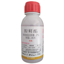 剑牌剑物丰2%胺鲜酯 番茄调节生长 农药生长调节剂 100g