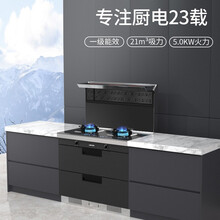 莱普(LaiPu)集成灶一体灶【烟灶消】LP10M 液化气烟灶消 LP10M