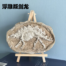 恐龙化石 考古挖掘玩具大号霸王龙剑龙翼龙模型摆件儿童手工3-6-9岁男孩女孩玩具【京闪配送】 浮雕版 剑龙