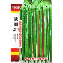 欧兰德欧丽214线椒种子早熟浓辣顺直油绿挂果多农家春秋播种精选 欧丽214原装1000粒x5袋