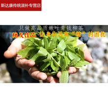ℂ℘精选新茶野生青钱柳茶 糖友佳品嫩叶茶金钱柳养生茶 图片色