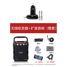 无线麦克风拾音器舞台演出扩音古筝二胡木吉他孔小提琴乐器 普通款无线收发器+音箱