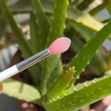 【盒装】硅胶唇刷便携款唇膜刷唇膏刷涂抹棒涂抹棒化妆刷套装唇刷 西瓜红 2支 送 1个收纳盒