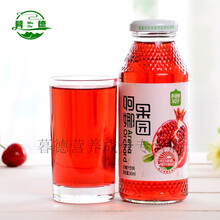 石榴汁果汁健胃养生饮品饮料轻断食 阿娜尔汗石榴汁10瓶装(半箱)