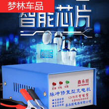 适用于汽车摩托车轿车电瓶充电器12V伏快速纯铜大功率蓄电池专用充电机 12v专用充电机-【血本价】