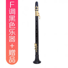 京炫（JINGXUAN)简易小萨克斯 初学者迷你萨克斯风 口袋中音成人儿童老年乐器 F调黑色乐器+