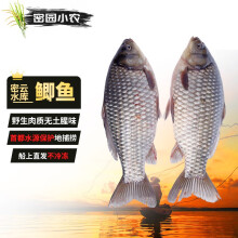 密园小农 鱼 鲜鱼鲫鱼北京【密云水库】新鲜淡水鱼生鲜鱼肉 约2斤