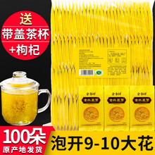 菊花茶修水金丝皇菊一朵一杯大朵黄菊胎菊贡菊花可搭特级枸杞茶叶定制 100朵礼盒装+茶杯 头期大花  香润清甜