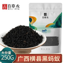 百草农 黑蚂蚁广西横县大黑蚂蚁干拟黑多刺蚁泡酒料泡酒药材养生中药材 广西横县黑蚂蚁250g
