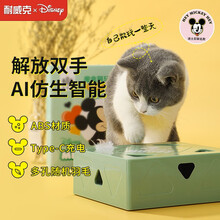 耐威克 迪士尼联名系列 电动魔盒猫咪自动互动逗猫棒电动逗猫器羽毛逗猫玩具自嗨解闷 【迪士尼定制】充电版-浅绿色