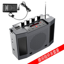 圣韵浪逸v306无线二胡扩音器2.4g二胡拾音器便携式立体声户外专用多功能乐器音箱 新款V309带蓝牙三喇叭【主机+指环夹套+U盘】