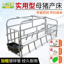 天蓬惠农  母猪产床 落地式母猪产床  母猪简易床  落地式母猪位  母猪落地产床 母猪限位栏产床 到县城（70宽）
