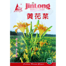 黄花菜种子种籽菜金针菜菜籽蔬菜种苗孑籽种根四季种植菜种食用苗 【黄花菜种子50粒原装】*1袋