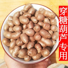 铁棍山药豆5斤/9斤新鲜 大号山药蛋糖葫芦淮怀 山药仔籽 5斤