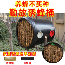 RIG 诱蜂桶黑色塑料桶带提手诱蜂箱蜂蜡招蜂水桶诱蜂蜡巢脾野外捕蜂器布收蜂笼野蜂土蜂引蜂捕捉器 10L诱蜂桶+诱蜂蜡50克+诱蜂脾+诱蜂秘籍