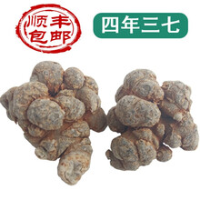 【官方旗舰】三七云南文山20头田七340头根500g 5年三七16头