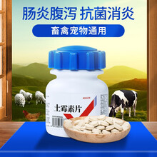 华畜 兽药兽用土霉素片500片水产鱼药龟 犬猫牛羊猪药鸡药禽药 土霉素片500片*瓶