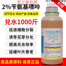 2%苄氨基嘌呤细胞分裂素6ba促花保果发芽多肉爆芽果树膨大剂 500ml